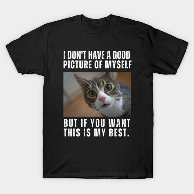 Cute Cat Show Funny Face Photo T-Shirt by TayaDesign